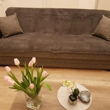 City Apartment Апартаменты *